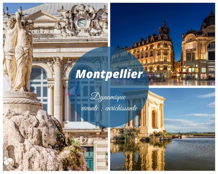 Le Nautilus Proche Plage Clim Parking Prive Wifi Proche Montpellier 카르농 플라주 외부 사진